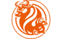 FXOpen logo
